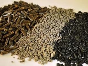 آفتاب گردان